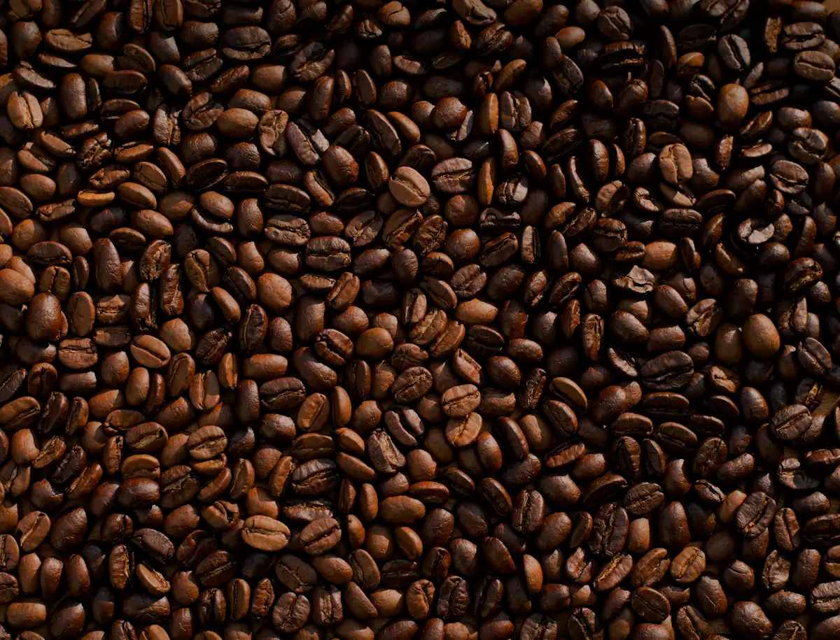 Café en grano